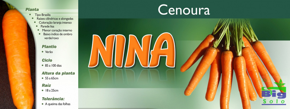 Cenoura Nina